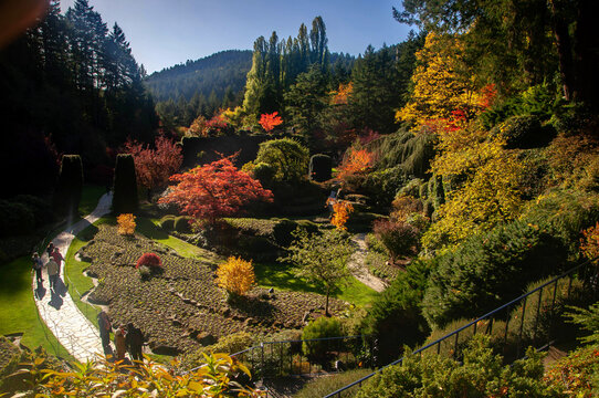 Fall in Butchart Gardens
