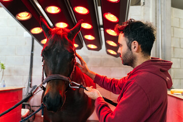 A man administers infrared heat therapy to a horse at a specialized equine rehabilitation center.