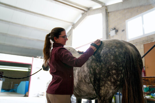 Rider brushes her horse in the stable before a riding session.