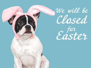 We will be closed for Easter. Signboard. Lovable, pretty puppy. Closeup, studio shot, indoors. Day light. Congratulations for family, loved ones, relatives, friends and colleagues. Pets care concept