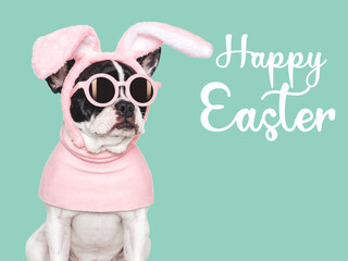 Happy Easter. Lovable, pretty puppy and congratulatory inscription. Closeup, studio shot, indoors....