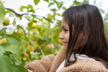 Smiling girl surrounded by lemon trees, enjoying the beauty of the garden. Close-up of a cheerful young girl enjoying time in a lemon orchard, surrounded by nature's bounty.