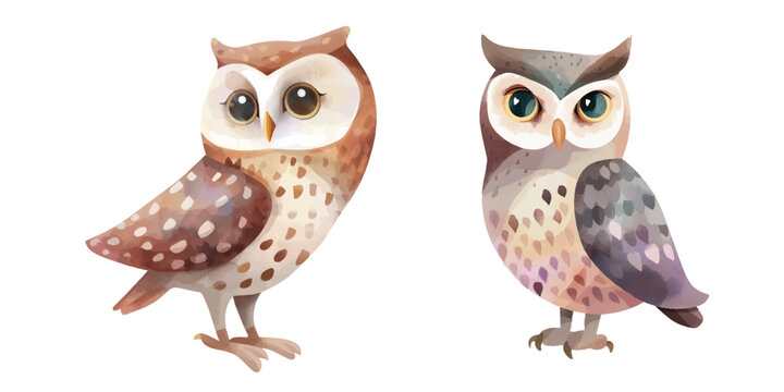  cute owl soft watercolour vector illustration