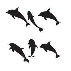 Fototapeta premium silhouette of dolphins jumping