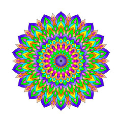 Colourful mandala design floral pattern