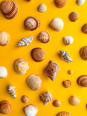 Sea shells on yellow background, summer vacation, top view 