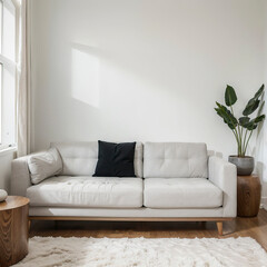 modern living room interior design with white sofa