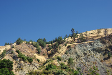 Fototapeta na wymiar California summer landscape with hills, grass and trees under blue sky