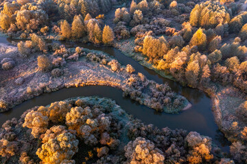 The Bryansk Forest Nature Reserve, the valley of the Desna River, meanders and bends of the Navlya River (a tributary of the Desna). Golden autumn, first October frosts