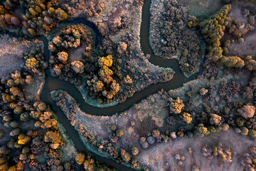 The Bryansk Forest Nature Reserve, the valley of the Desna River, meanders and bends of the Navlya River (a tributary of the Desna). Golden autumn, first October frosts