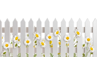 White picket fence with daisy flowers isolated cutout on transparent