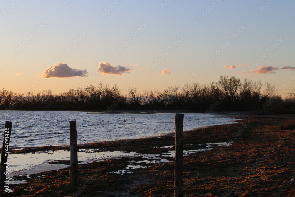 Poster lac vaccarès en camargue