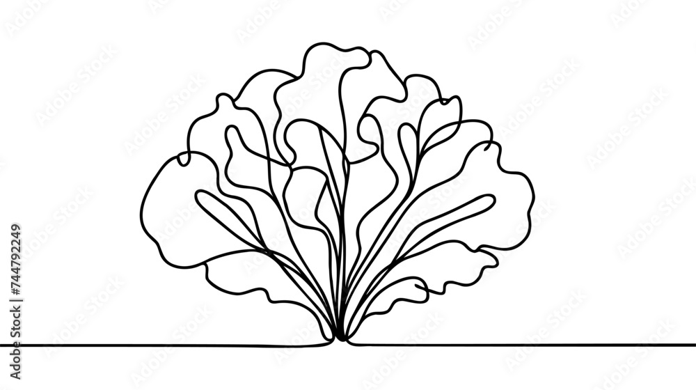 Wall mural one single line drawing of whole healthy organic mustard green leaves for farm logo identity.