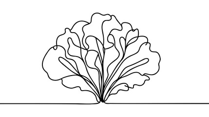 One single line drawing of whole healthy organic mustard green leaves for farm logo identity.
