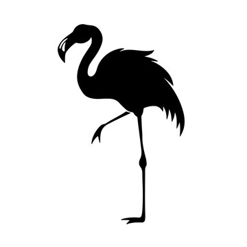 recommend clip art: Black silhouette of Brids side view isolated
                    
                    
                    
                    