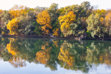 Autumn landscape with river and colorful trees. Reflection in water