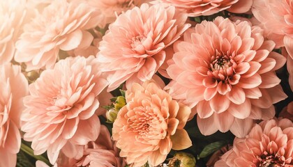 peach color is 2024 year trend floral background