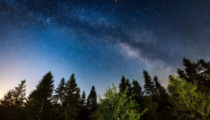 Fototapeta na wymiar night sky with stars over dark trees