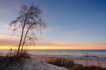 Morze Bałtyckie, zachód słońca,drzewo, wydmy, piasek, plaża, Kołobrzeg, Polska. - obrazy, fototapety, plakaty