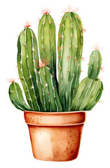 Watercolor illustration of a cartoon cactus. Transparent background, png