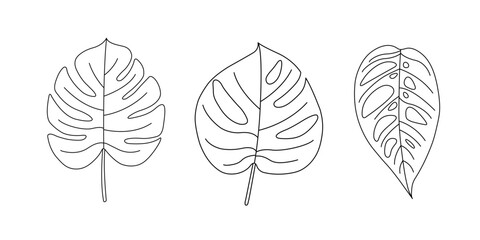 Line art tropical leaves set. Vector © Эльнара