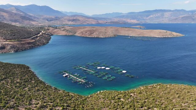 Aerial drone video of self feeding fish farming unit of sea bass and sea bream with round net cages in Anemokambi bay area near Galaxidi, Greece