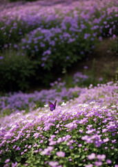 Obraz premium A purple butterfly lands on a flower in a field of pink flowers. Generative AI