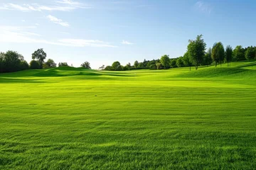 Foto op Plexiglas landscape with grass and sky © Vasili