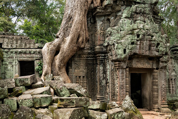 Ruins of Tah Prohm Temple with roots of spung tree on top