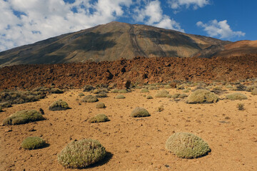 Deserto lavico presso il Teide