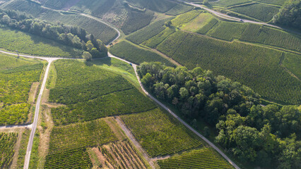 vue aérienne du vignoble de château-chalon dans le Jura célèbre pour le vin jaune