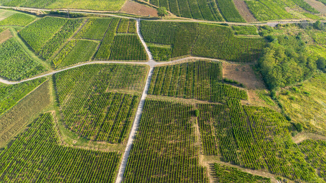 vue a&eacute;rienne du vignoble de ch&acirc;teau-chalon dans le Jura c&eacute;l&egrave;bre pour le vin jaune