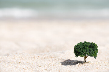 Small tree growing out of the sand in the desert