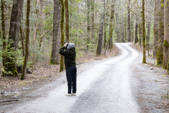 National park tourist photographing an owl in the woodland canopy. 