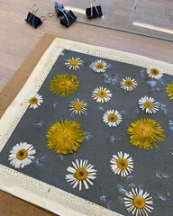 cyanotype / blueprint process with dandelions and daisies in the sun