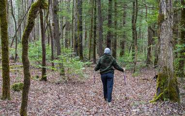 Great Smoky Mountain Park hiker on a trail in early winter. Dried-up autumn leaves litter the trail.