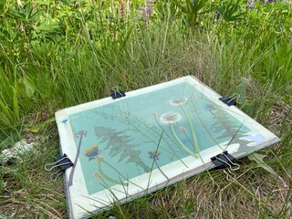 cyanotype / blueprint picture in the making