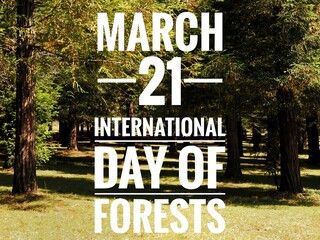 March 21 International day of Forests background with text and trees