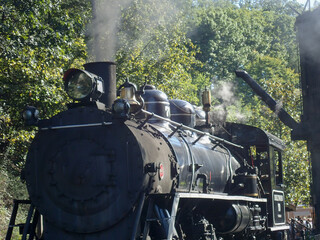 Obraz premium Steam Engine ready for a ride