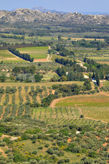 Obraz premium Paysage provençal vu des Baux-de-Provence