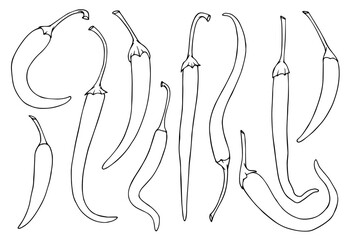 Set of linear sketches, contours of hot chili pepper pods.Vector graphics.