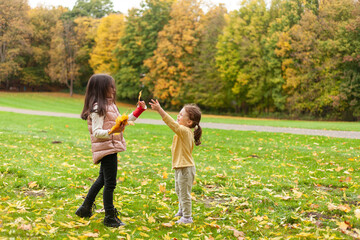 Fototapeta premium Little girls are playing on the lawn in the autumn park.