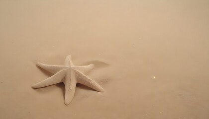 Fototapeta na wymiar six legged light starfish on the beach