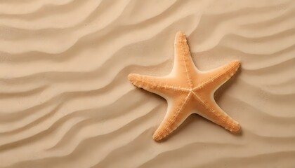 Fototapeta na wymiar starfish on wavy sand, free space