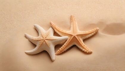 Fototapeta na wymiar two different starfish on the beach
