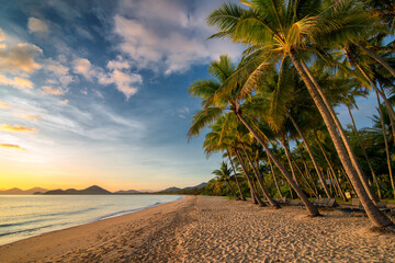 Bask in the tropical allure of Palm Cove Beach, Far North Queensland, where swaying palms meet...