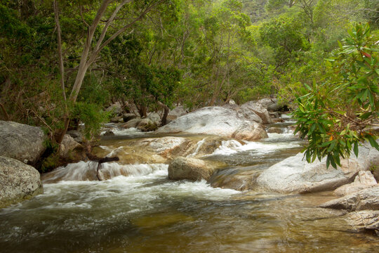 Emerald Creek, nestled in Lamb Range near Mareeba, Queensland, invites exploration with its crystal-clear waters and lush surroundings. Experience tranquility and natural beauty