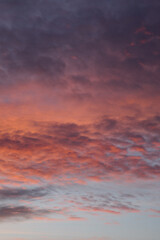 Various colors of the sunset. Fluffy clouds. Romantic sky. Universal vertical photo. The background picture.