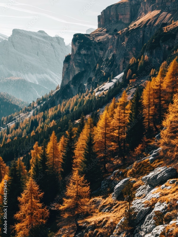 Poster autumn trees in the mountains with rocks and snow. generative ai.