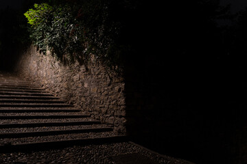 dark cobbled stairs  within the castle walls 